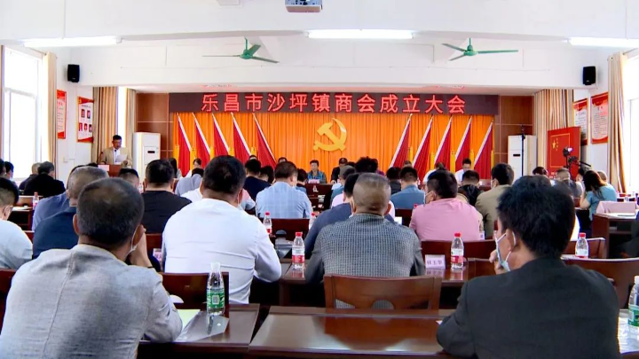 樂昌市沙坪鎮商會正式成立.jpg