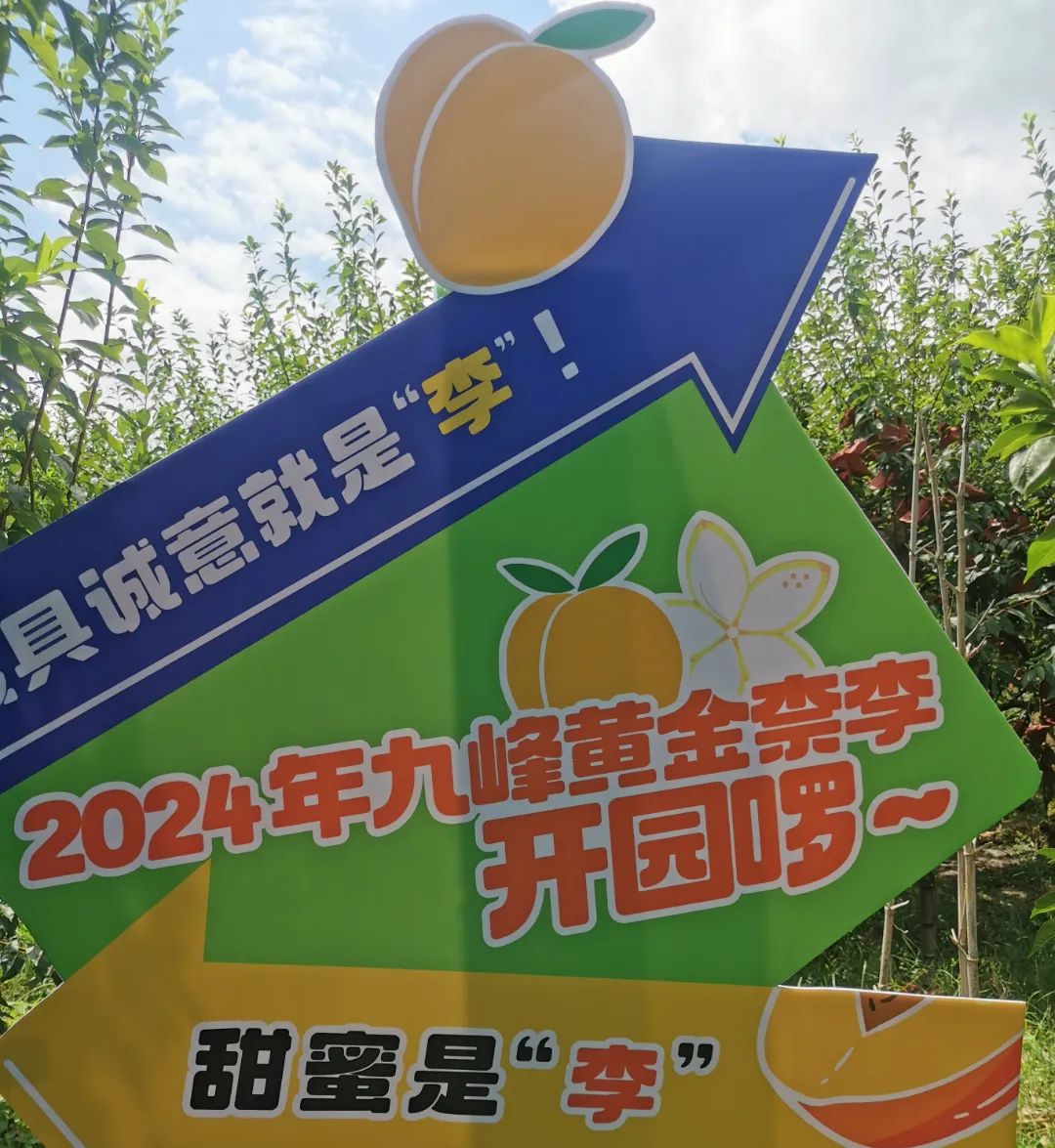 轉存圖片