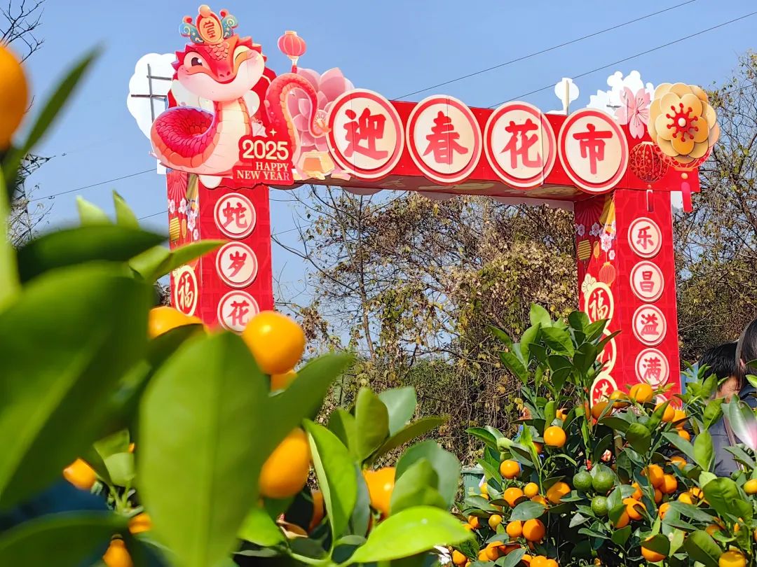 轉存圖片