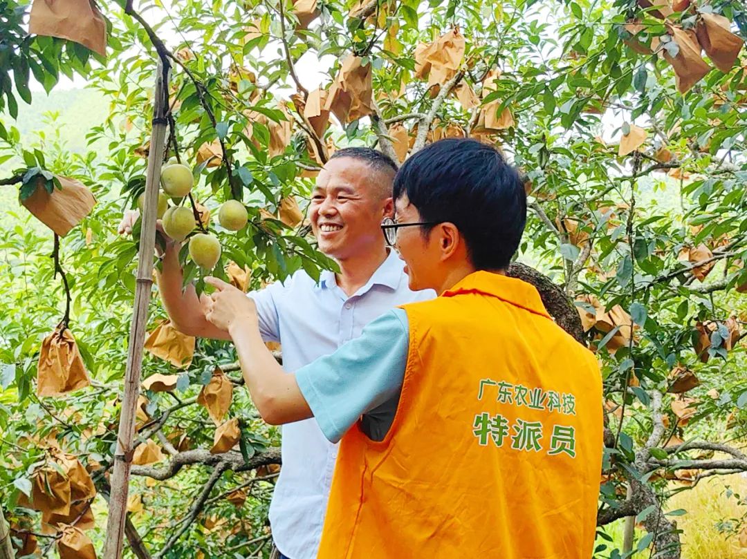 轉存圖片