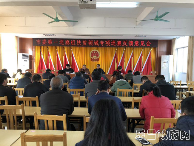 沙坪鎮扶貧領域巡察反饋意見會.jpg