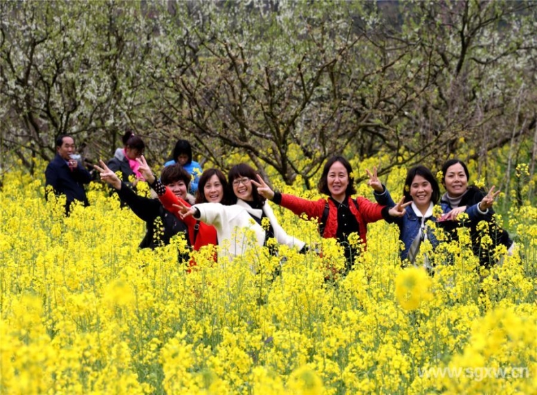 花海吸引無數(shù)游客到來。 張偉 攝.jpg
